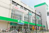 板橋区坂下1丁目新築一戸建て画像7