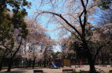板橋区東新町2丁目中古一戸建て画像10