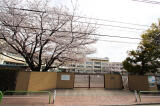 板橋区赤塚7丁目新築一戸建て画像5