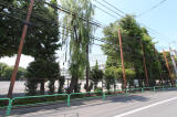 練馬区北町2丁目土地画像6